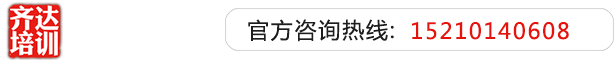 污污视频抽插深入射进去～齐达艺考文化课-艺术生文化课,艺术类文化课,艺考生文化课logo